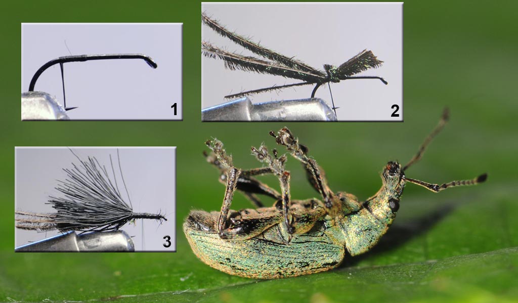 European Fly Angler tying a Coleoptera