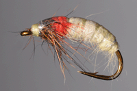 Barb' o' Mat     (B.O.M. nymph)