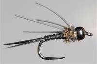 Bottom elastic nymph (BEN)