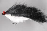 The Real Fin