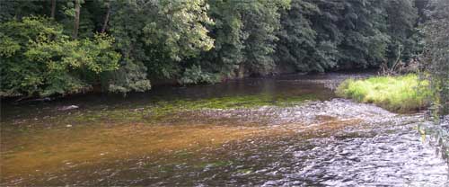 Enz, Germany