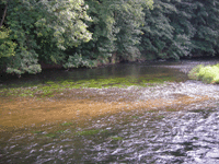 Enz, Germany