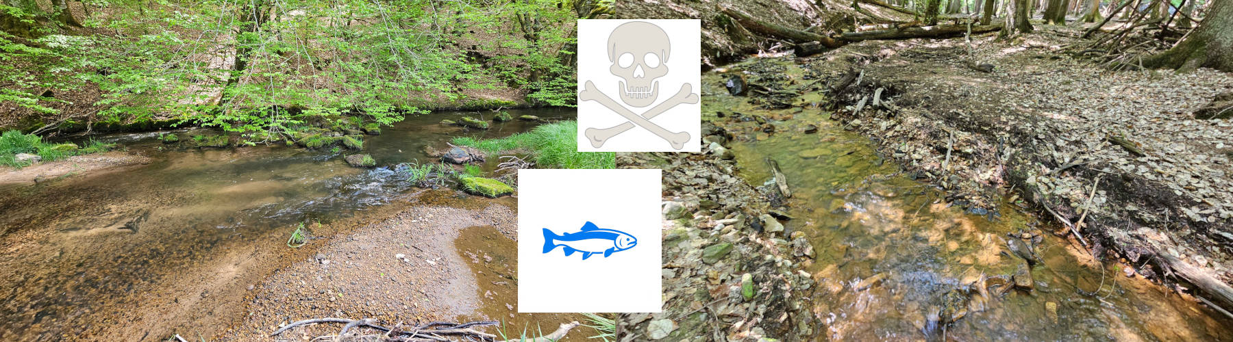 E.P.T. index for water quality monitoring - page 1
