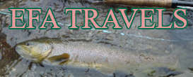 fly fishing stories in Europe & world
