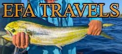 fly fishing stories in Europe & world