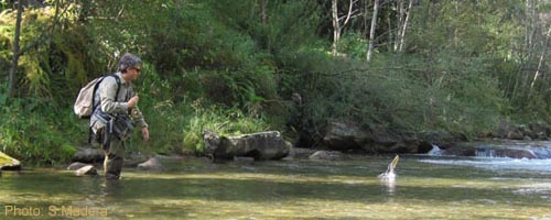  The river Mur