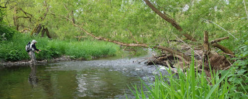  River Kyll