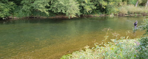  River Neckar
