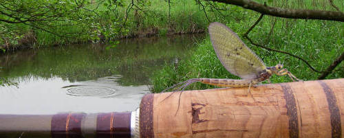  River Treene