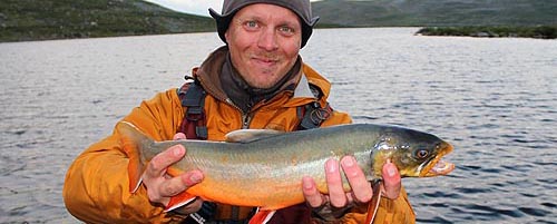 Char on the Finnish highlands