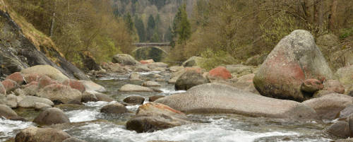  River Forzo