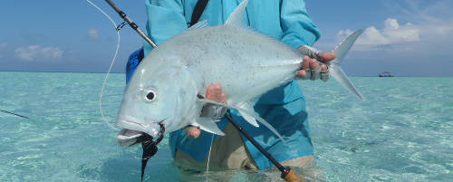  Maldives