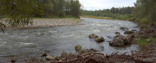  River Dunajec