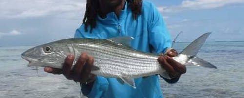  Fly fishing on Mahè