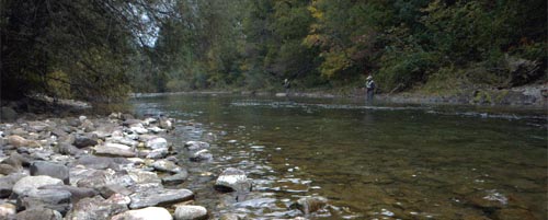  The river Savinja
