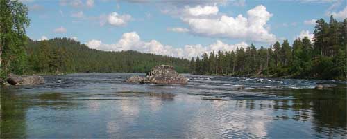 The grayling of river Lais