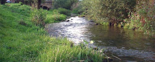  Fly fishing on the Leinleiter